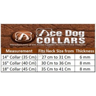 Ace Super Soft Rolled Italian Leather Dog Collar : (brass buckle) 